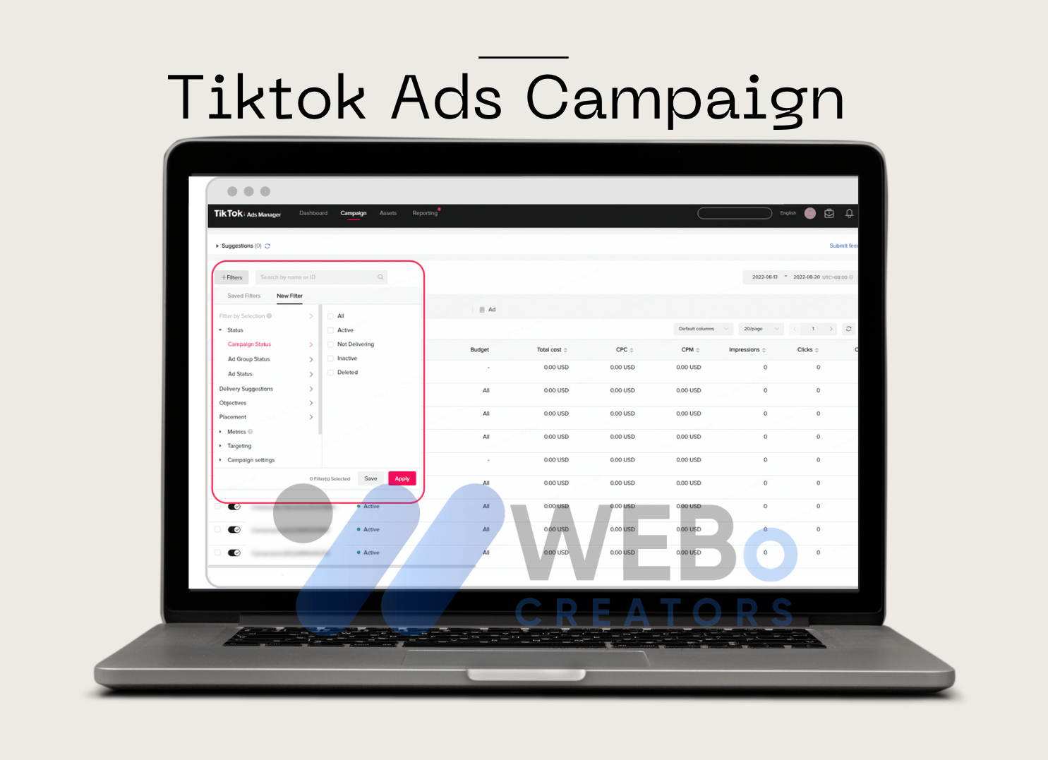 TikTok PPC Management